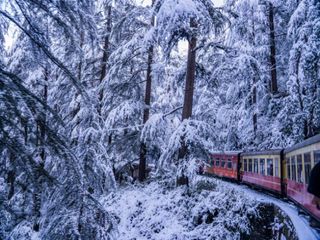 Epic Winter Vacations In India: Trip Idea 2 – Kalka To Shimla On The Toy Train