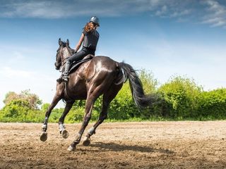 Three Rivers Ride In Britain : An Equestrian's Dream Escapade