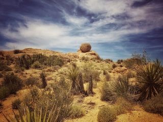 The Mojave Desert: A Great Excursion From Las Vegas