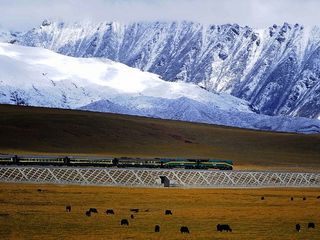 The Qinghai-Tibet Railway : Roof Of The World Express