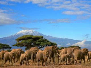 Mount Kenya – Kenya's Prime Attraction