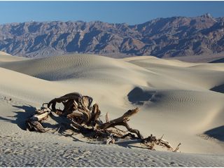 Top 5 Lesser known Attractions in Africa to add to your bucket list this year! 