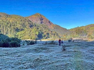Munnar Kerala Witnessed Frost as Temperature Drops Below Zero Degree