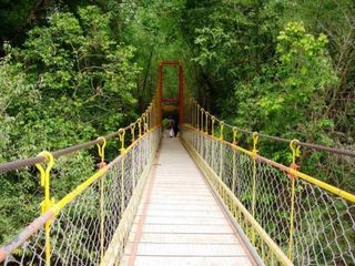 Coorg's Tadiandamol peak - Is It Really tough to trek? 