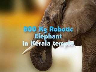 OMG! A Robotic Elephant Is Performing Rituals In This Kerala Temple 