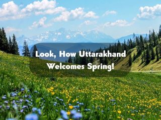 Phool Dei Festival: That’s How Uttarakhand Welcomes Spring, Come Check Out This