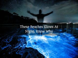 Most Beautiful Beaches That Glows At Night