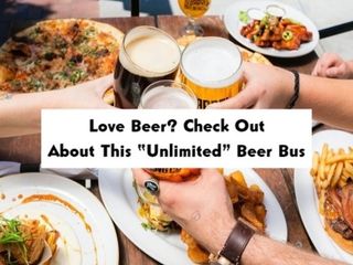 Beer Bus: Unlimited Beer From Chennai To Pondicherry, Know Costs, Inclusions, Etc