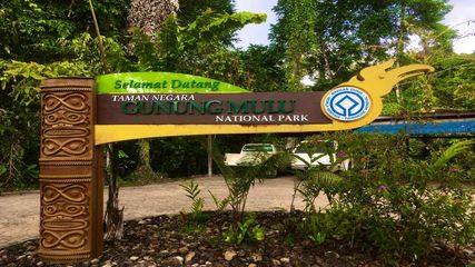 Check this place in Gunung Mulu national Park in Malaysia 