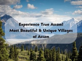 Wait, You are doing it wrong! Experience True Assam here!