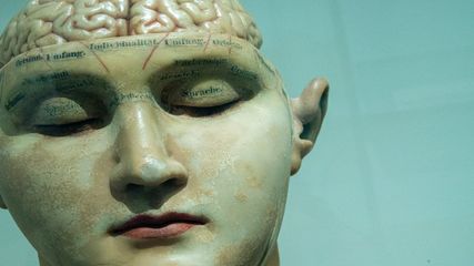 Only Museum In India Having Real Human Brains Which Is Not For Weak Hearted People