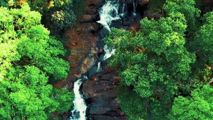 Five most stunning waterfalls in Madekeri during the monsoon season