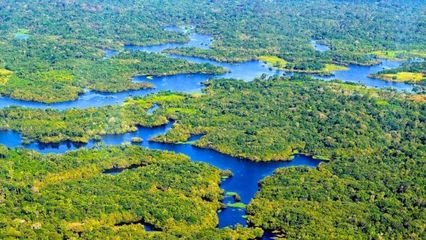 Brazil is Constructing a Unique Structure Pouring CO2 Over Amazon Trees to Combat Climate Change