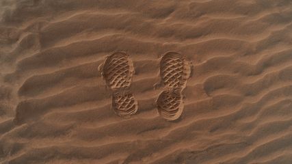 What Is Carbon Footprint, How To Calculate It The Easy Way And How To Reduce It