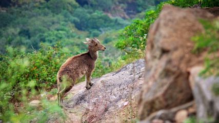 Best Places to Visit in Coimbatore This Summer