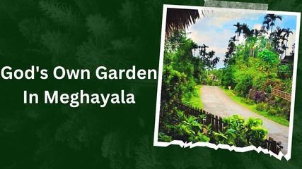 Sustainable Tourism in Meghalaya's Mawlynnong: Tourists Also Contribute to Cleanliness