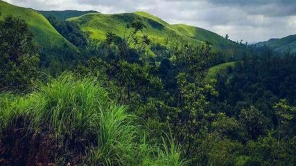A Hidden Gem nestled in the wild embrace of Western Ghats – Kyathanamakki peak, chikkamagaluru