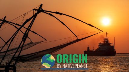 Origin: India, So Fishy! - History of Fishing in India