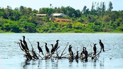 Good News for Puducherry: Five Waterbodies to Gain Wetlands Status