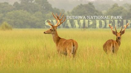 Undiscovered Places in Uttar Pradesh: Hidden Gems of India's Heartland