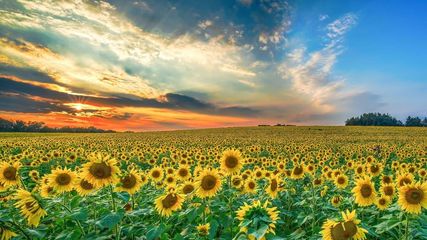 Trek Into Paradise: What Is So Special About The Valley Of Flowers, Uttarakhand