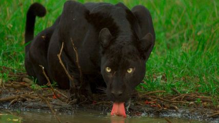 Netravali - This lake in Goa produces bubbles on Clapping