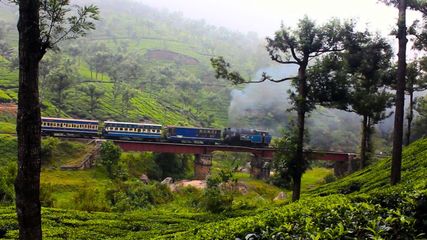 Know Interesting Facts About The Enchanting Nilgiri Mountains