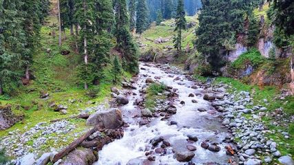 The Valley of Milk in Kashmir: Nature's Magical Illusion Where Milk Flows