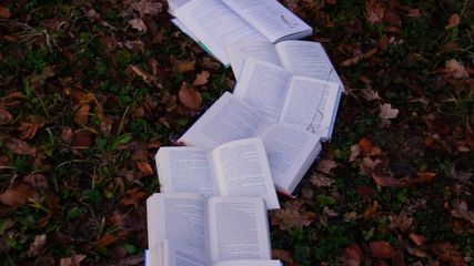 Good News for India: Asia's Most Educated Village Lies in Uttar Pradesh. Check Details