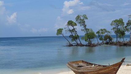 Top 7 Can't-Miss Things to Do in Andaman and Nicobar Islands