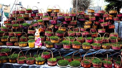 Navroz: All you need to know about Parsi New Year