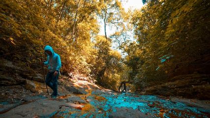 Trekking Through the Lush Forests of Wayanad in Kerala