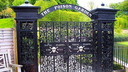 England's Poison Garden at Alnwick Garden: Unveiling Nature's Dark Secrets in UK