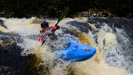 9th Edition of Malabar River Festival Kicks Off in High Gear. Check Video Here