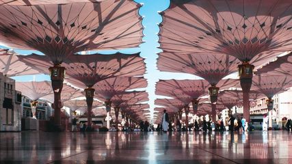 Saudi E-Visa Now Open for Indian Visa Holders Under These Conditions. Know Here