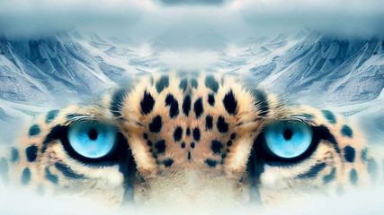 Know How Ladakh's Snow Leopards Protected India During Wars