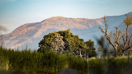 Explore the Majestic Wilderness: Top 5 National Parks in South India