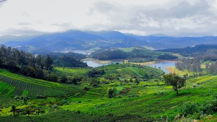 Romance in the Nilgiris: A Couple's Guide to Ooty's Most Romantic Spots and How to Get There