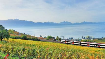 The UNESCO-listed: Journey through Switzerland's iconic vineyards in Lavaux