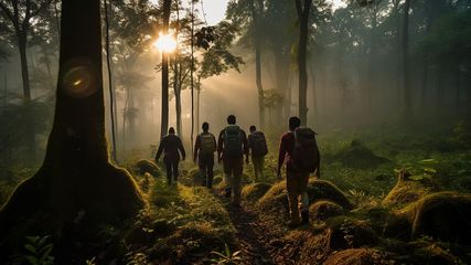Step into the Wilderness: Trekking in North Bengal, India!