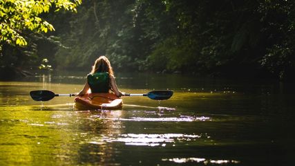 Explore the Mangroves of Karnataka Through Kayaking Adventures in Udupi