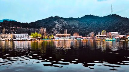 Empowering Srinagar: Government to Issue Unique IDs for 200,000+ Households