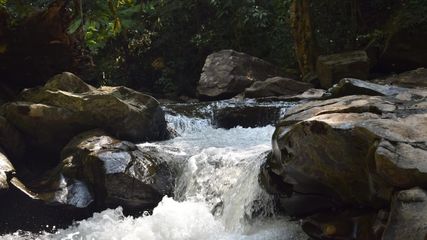 The mesmerizing Bandaje Arbi waterfalls in Karnataka