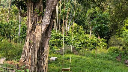 Nature Lovers Paradise: Seven Indian Eco-Destinations you must visit