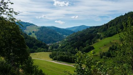 Discover Germanys Best Kept Secret: The Black Forest!
