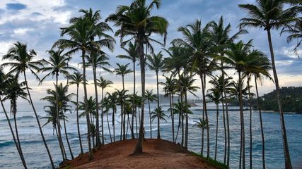 Sri Lanka Initiates Visa-Free Travel for Indian Tourists and Six Other Countries