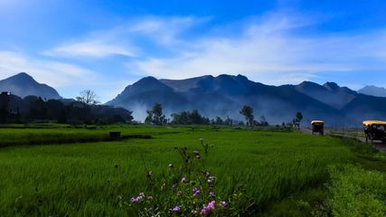 Exploring the Charm of Kollengode: Kerala's Gem from Anand Mahindra's Bucket List