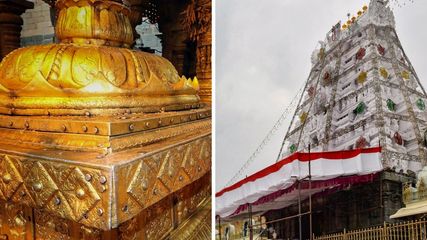 Good News For Newlyweds: Special Darshan Offered by Tirumala Tirupati Devasthanams