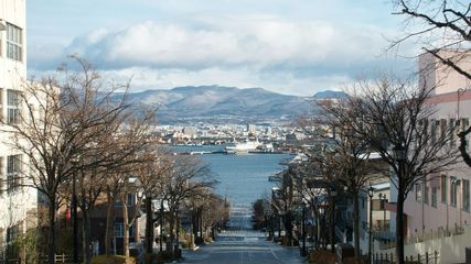 Exploring the Winter Magic of Japan: Skiing and Snow Festivals in Hokkaido