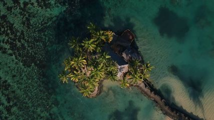 The ecstatic underwater world of Fiji: A haven for divers